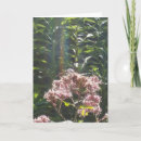 Search for dragonfly sympathy cards Dragonflies