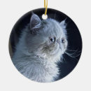 Search for himalayan cat christmas tree decorations Persian