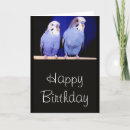 Search for budgie birthday cards Cute
