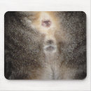 Search for butt mousepads Humour