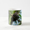 Search for pigeon bird mugs Nature