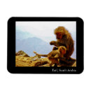 Search for monkey pic magnets Baby