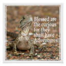 Search for curious posters Inspirational
