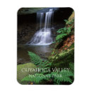 Search for blue springs magnets Travel