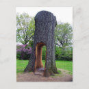 Search for ecologic postcards Trees