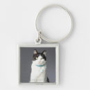 Search for collar key rings Close up