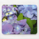 Search for hydrangea mousepads Photograph