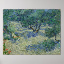 Search for van gogh olive trees posters Orchard