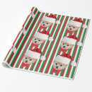 Search for pomeranian wrapping paper Pets