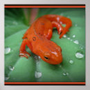 Search for eft posters Orange