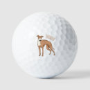 Search for dog golf balls Pet