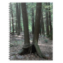 Search for buddy notebooks School