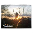 Search for spider calendars Wildlife