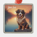 Search for bernese mountain dog christmas tree decorations Pet