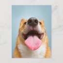 Search for corgis postcards Funny