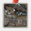 Search for kenya christmas tree decorations Black