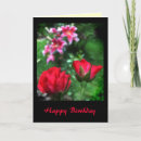 Search for stargazer lily birthday cards Roses