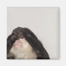 Search for contemplate magnets Animal