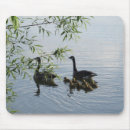 Search for geese mousepads Animal