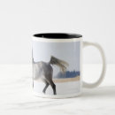 Search for winter horse mugs Outdoors