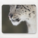 Search for the wild side electronics Usa