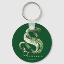 Search for slytherin key rings Magic