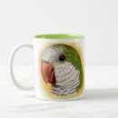 Search for quaker parrot mugs Bird