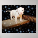 Search for dog heaven posters Puppy