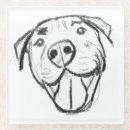 Search for pitbull coasters Animal