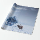 Search for wisconsin wrapping paper Beautiful