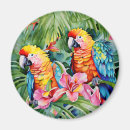 Search for parrot magnets Birds