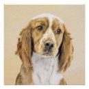 Search for springer spaniel dog posters Puppy