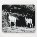Search for black bull mousepads Animal