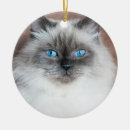 Search for himalayan cat christmas tree decorations Pet