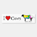 Search for funny cow bumper stickers Humour
