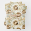 Search for hedgehog wrapping paper Cute