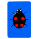 Search for ladybirds magnets Insects