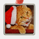 Search for orange and white cat christmas tree decorations Kitty