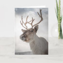 Search for cute reindeer cards Winter