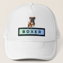 Search for boxers hats Dogs