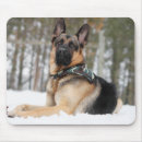 Search for german shepherd mousepads Snow
