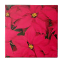 Search for poinsettia tiles Flower