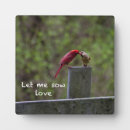 Search for cardinal plaques Nature