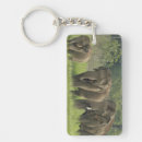 Search for indian elephant key rings Elephas maximus