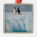 Search for western christmas tree decorations Animal