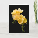 Search for freesias cards Garden