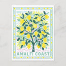 Search for lemon postcards Souvenir