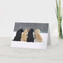 Search for golden retriever in snow cards Cute