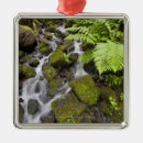 Search for rural christmas tree decorations Angle
