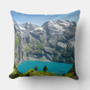Search for alpine cushions Lake